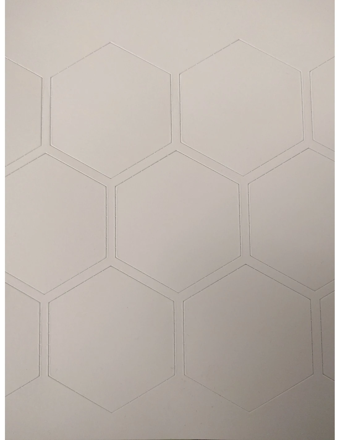 A4 Met 22 Hexagons Met Een Zijde Van 25mm 1 A4 Met 22 Hexagons Met Een Zijde Van 25mm