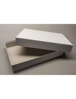 Doos Met Deksel (31,7x23x5,2cm)