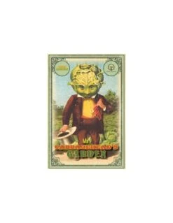 Mr. Cabbageheads Garden