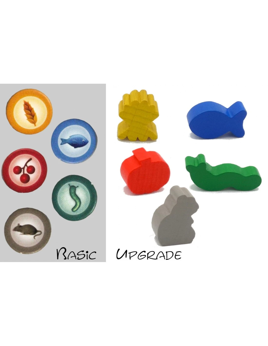 Set Voedsel Voor Wingspan 1 Set Voedsel Voor Wingspan